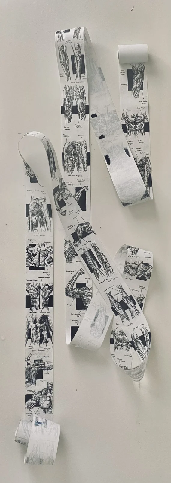 Suspended paper and photographic installation